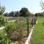 Resident gardens on the Baytowne grounds